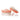 Immediate Denture