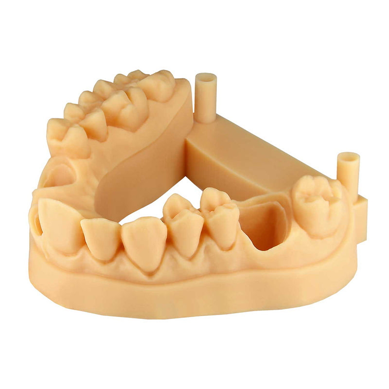 3D Printed Crown and Bridge Models