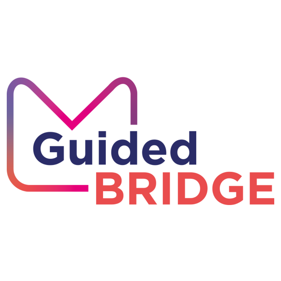 Guided Bridge by Quoris3D