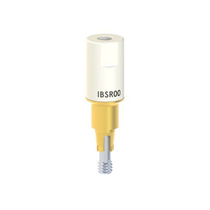 Dentsply® Ankylos® compatible Scan Body