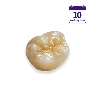 Monolithic Zirconia Conventional Crown & Bridge (TLZ)
