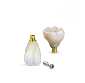 Porcelain Fused Zirconia Implant Crown (PFZ-I)