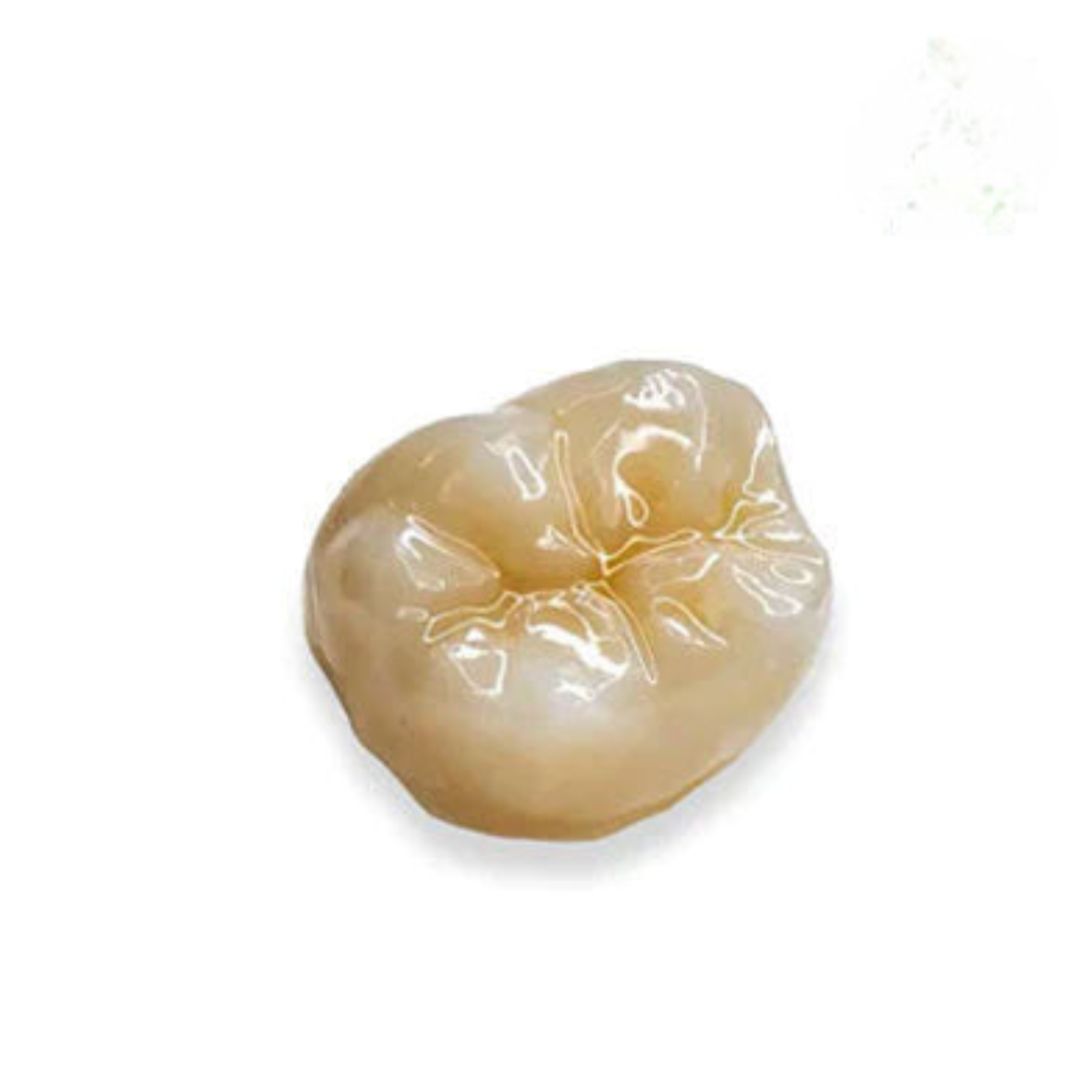Monolithic Zirconia Conventional Crown (TLZ)