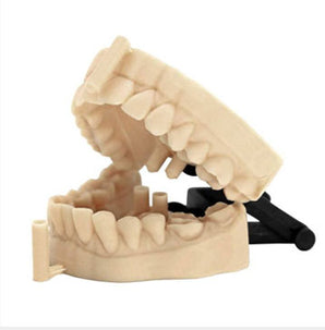 3D Printed Models - Dual Arches