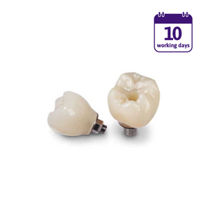 Monolithic Zirconia Implant Crown & Bridge (TLZ-I)