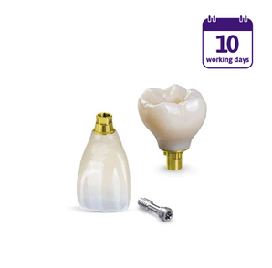 Porcelain Fused Zirconia Implant Crown & Bridge (PFZ-I)