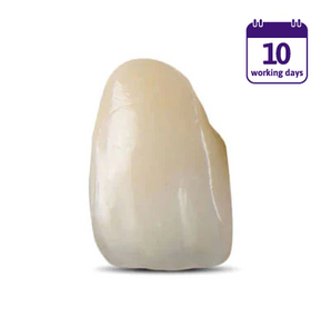 Porcelain Fused Zirconia Conventional Crown & Bridge (PFZ)